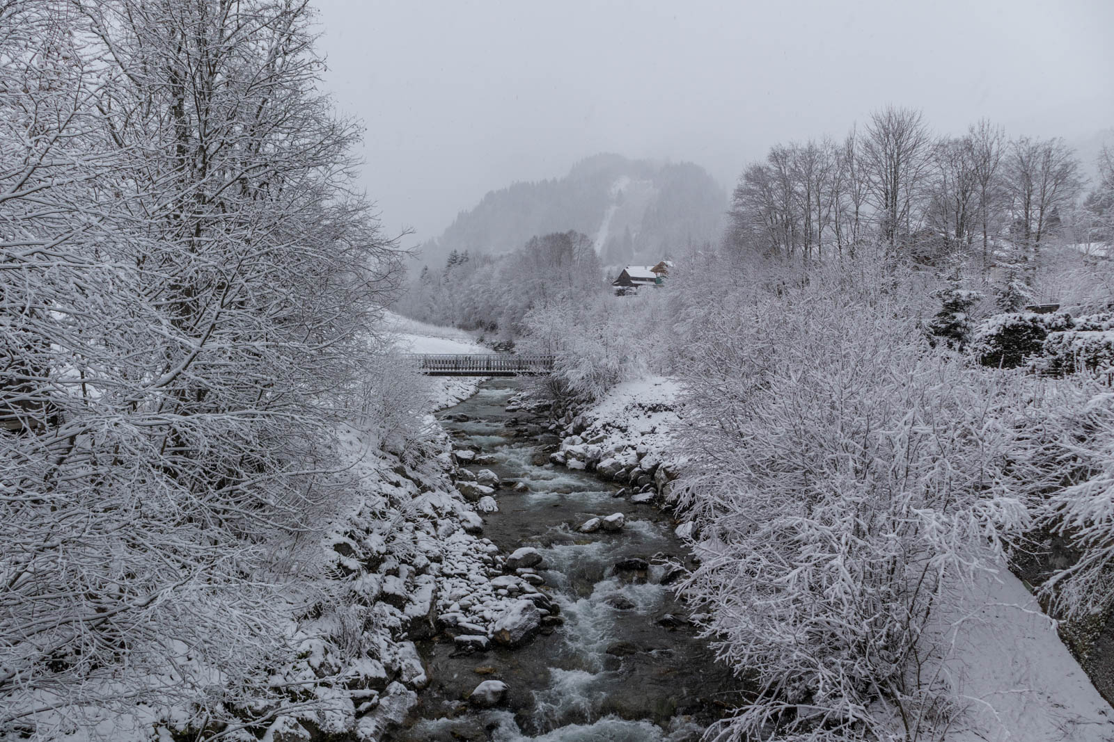 First decent snowy day of the year :-)  